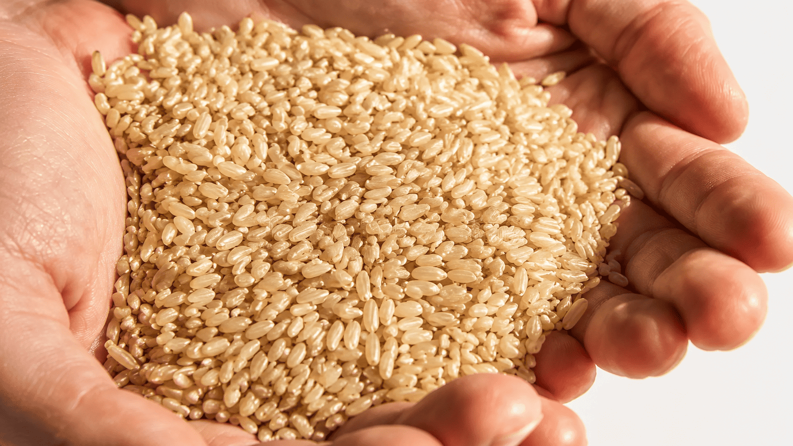 Organic Brown Rice