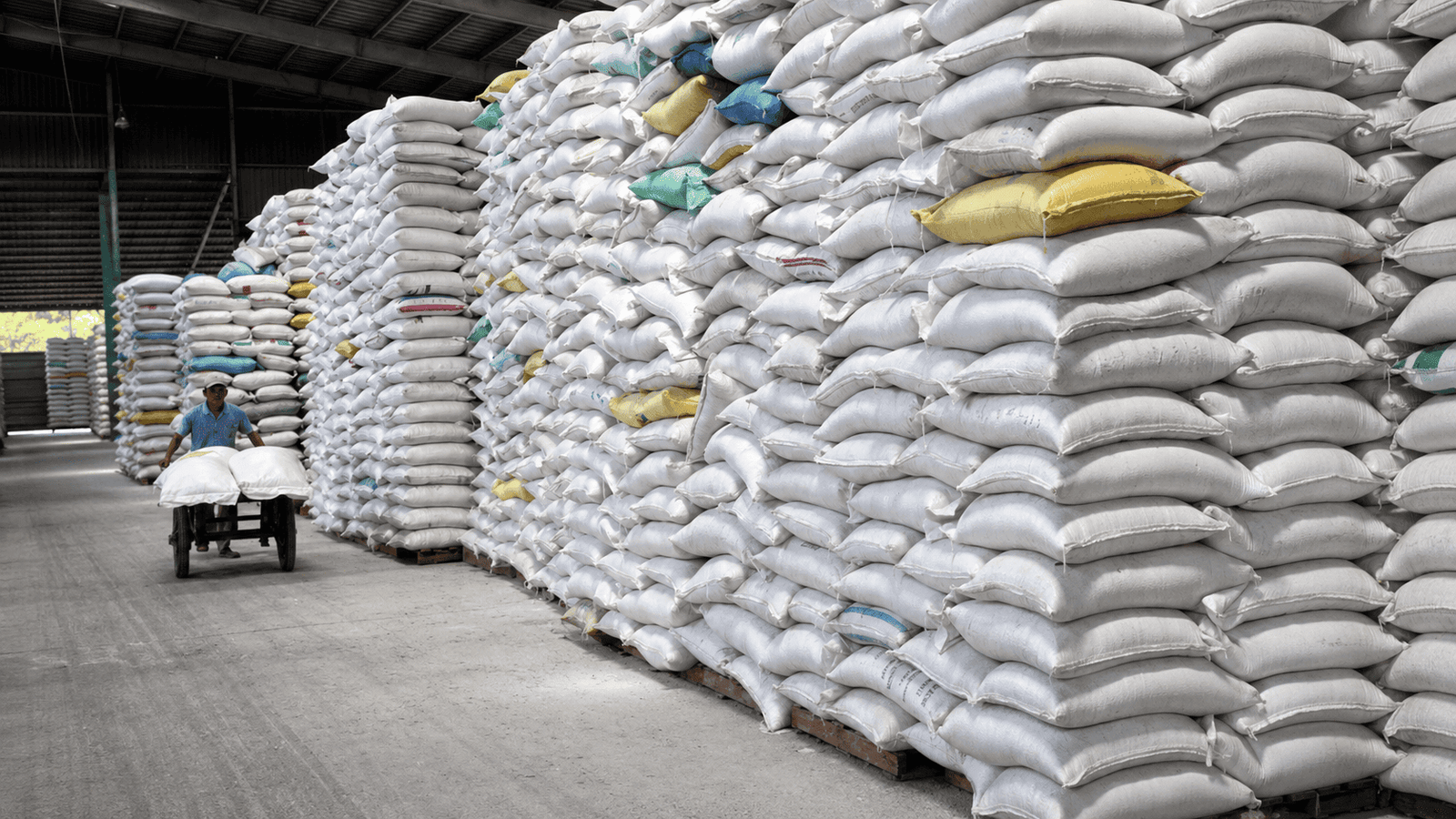Organic rice packaging facility
