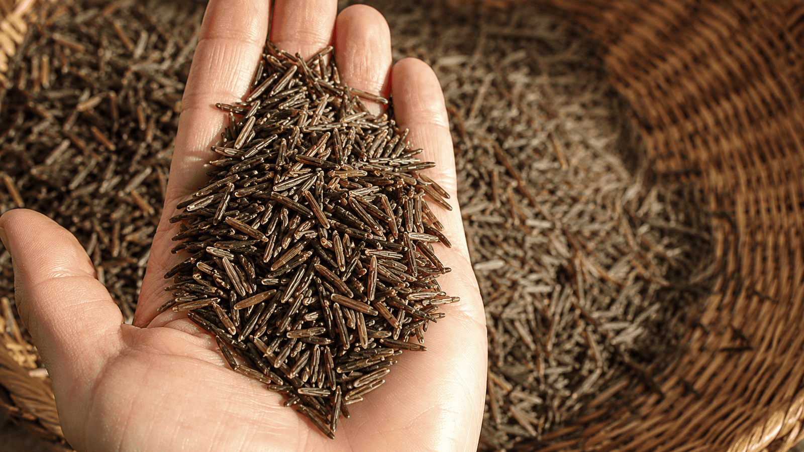 Organic Wild Rice